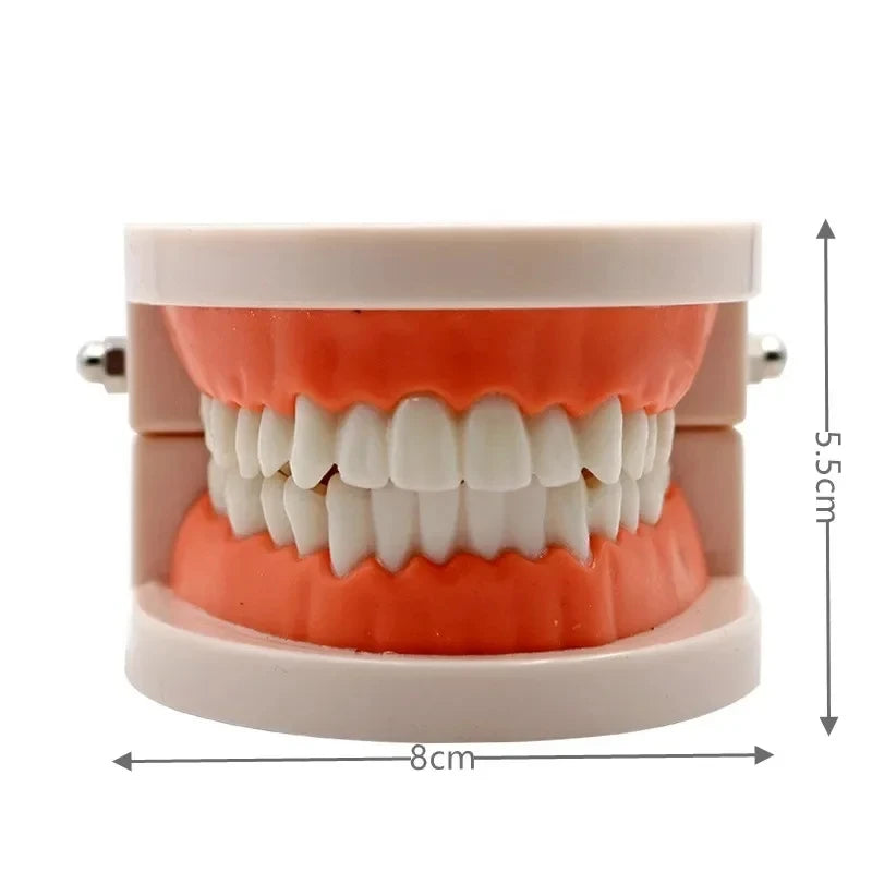 Montessori Educational Toys For Children Early Learning Kids Intelligence Brushing Tooth Teaching Aids Simulated Practical LifeT