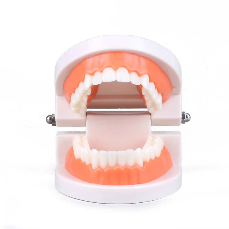 Montessori Educational Toys For Children Early Learning Kids Intelligence Brushing Tooth Teaching Aids Simulated Practical LifeT