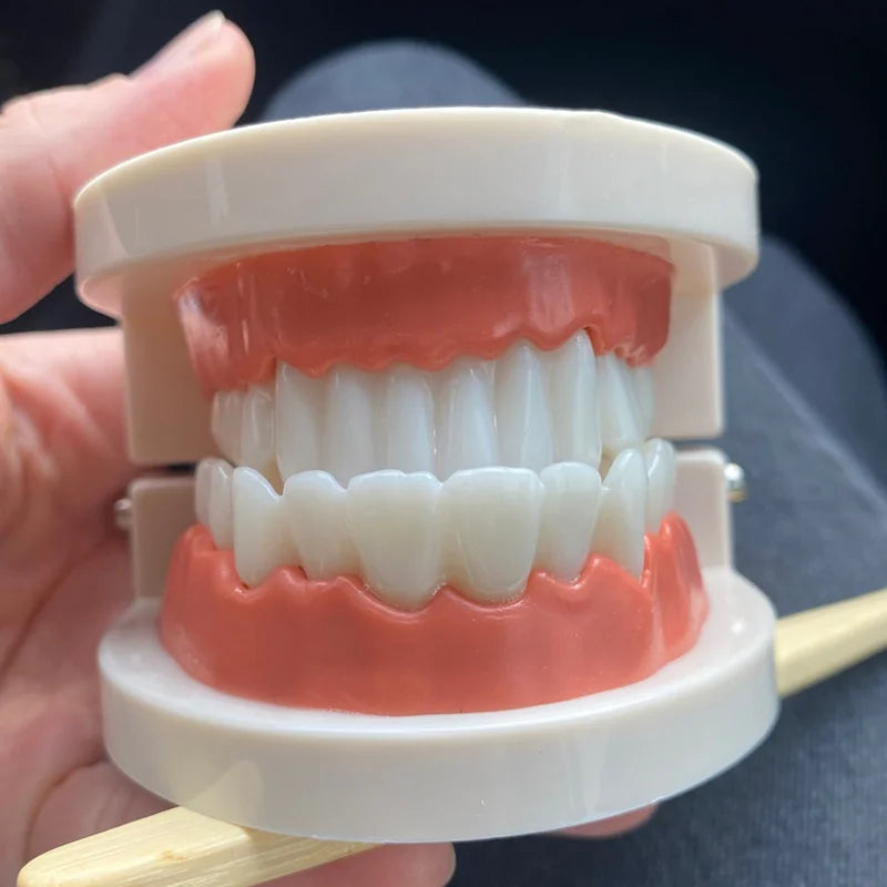 Montessori Educational Toys For Children Early Learning Kids Intelligence Brushing Tooth Teaching Aids Simulated Practical LifeT