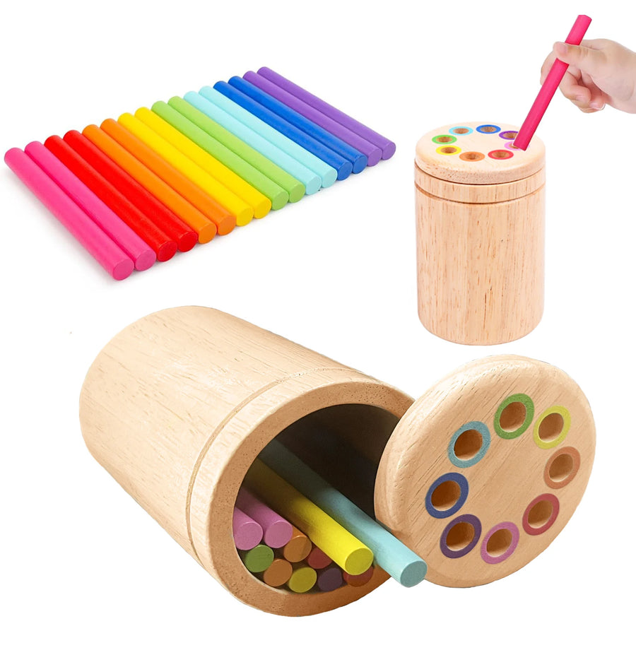 Montessori Toys for Toddlers, Wooden Learning Color Sorting Toys for Fine Motor Developmental Infants Sensory Matching Games