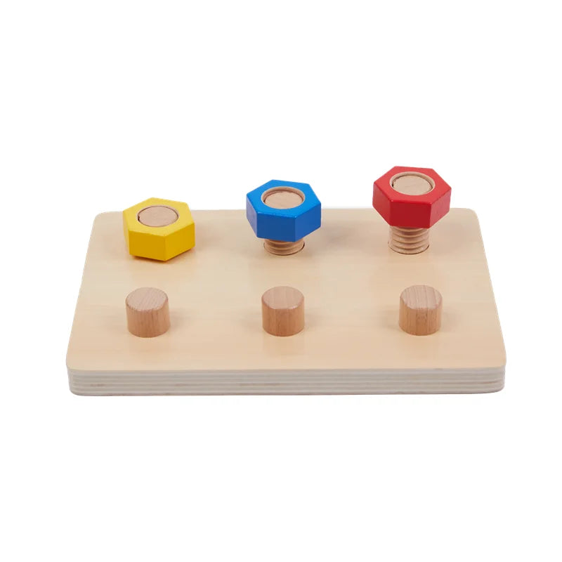 Montessori Educational Learning Toys Wood Nuts and Bolts Board  Screwing Game Kids Fine Motor Skill Activities Colors Cognition